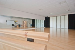 Chelmer Valley High School - Acoustic Works