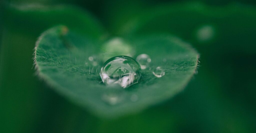 A leaf and droplet to represent greener architectural design.